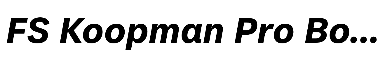 FS Koopman Pro Bold Italic
